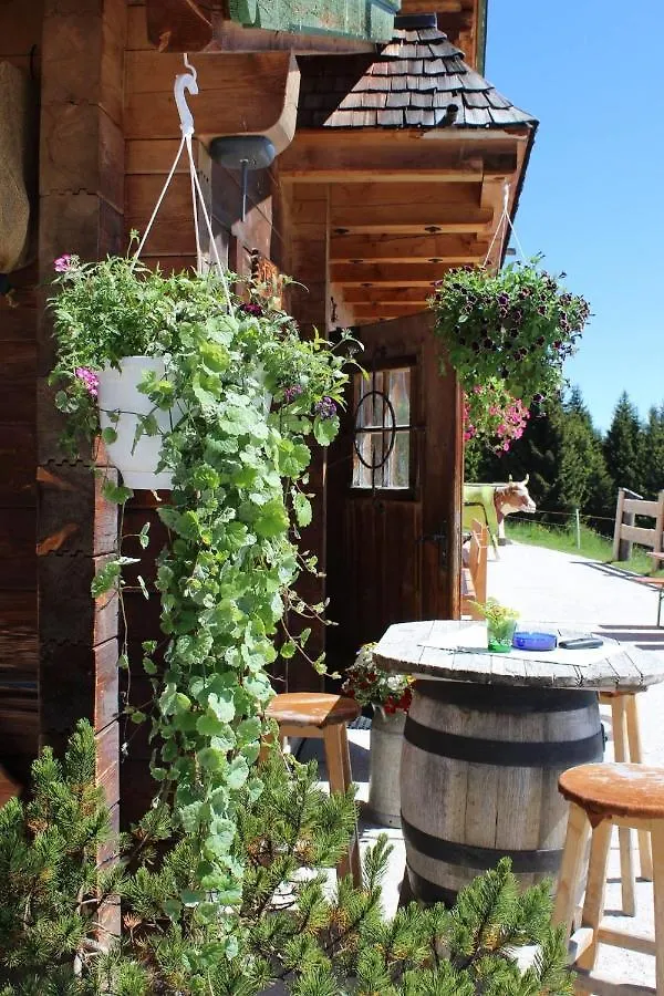 Simal Alm Hotel Saalbach-Hinterglemm 0*,